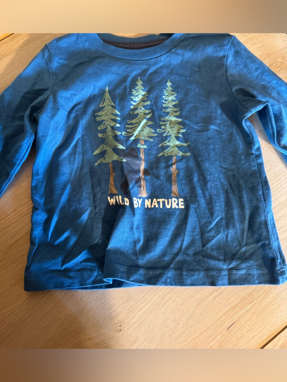 Wild By Nature Blue Kids Long-Sleeve Graphic Tee 12 Month